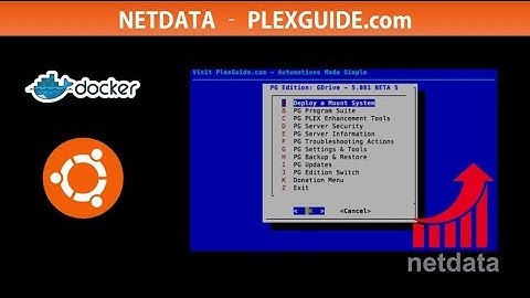 PlexGuide.com - NETDATA