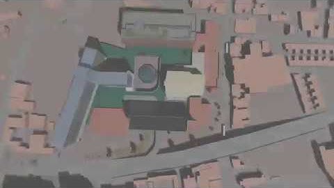 P30027 2018 2019 Moving Model RingoP