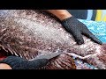 Thai Street Food - $1500 GIANT GROUPER Bangkok Seafood Thailand