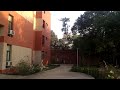 Single Engine Powered Variable Pitch Quadrotor Flight Test-2