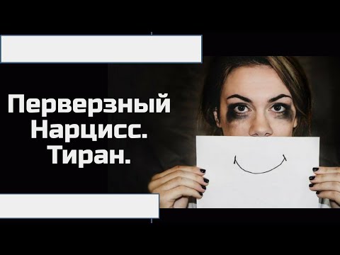 Бейне: Нарциссизм. Харм Сименстің дәрісі (Нидерланды)