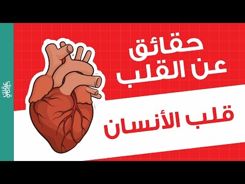 10 حقائق عن القلب