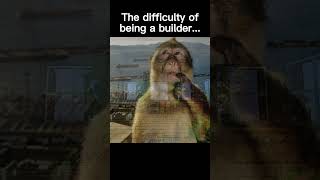 Builder difficulty #minecraft #shorts