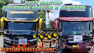 FULL BASURI ‼️ DUET SERU BUS BLACK MARLIN DAN BUS ASTEROID TUNGGAL JAYA BERTEMU KERETA BASURI
