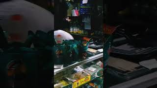 Download Mp3 KISAH ANAK RANTAU  #subscribe #shorts Gudang lagu Download Mp3 KISAH ANAK RANTAU  #subscribe #shorts