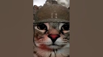 Thumbnail of does anyone know the name of this song plz😭🥀🙏 #songs #memes #funny #humor #short #roadto200subs
