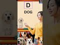 D for Dog 🐶 | Learn Alphabet D | Easy And Fun Way | TheWorldOfAaravi
