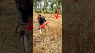 New Trick ￼Techine Wheat Cutting With Saw ￼Big Experiment #shortfeed #viral #shortvideo