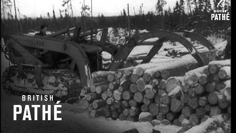 Logging (1954)
