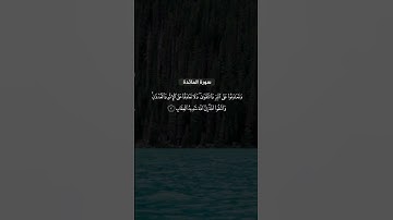 سورة المائدة : القارئ سعود الشريم #اكسبلور #المصحف #راحة_نفسية #لايك #القرآن_الكريم #سعود_الشريم #