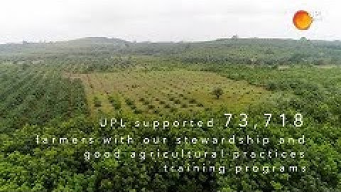 Cocoa & Forests Initiative