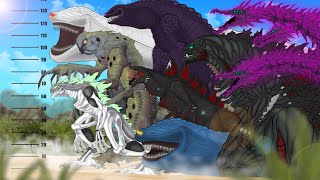 MONSTERS  SIZE COMPARISON 16 | Shin Zilla, El Gran Maja, Shinultidary Godzilla Earth, Void Ghidorah by PANDY 155,866 views 3 months ago 1 minute, 10 seconds