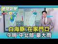 天氣/「白海豚在家門口」 今明「中北部」豪大雨｜氣象主播 吳軒彤｜TVBS氣象站｜TVBS新聞20260808 @TVBSNEWS01