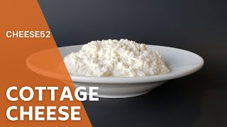 Creamy Delicious Cottage Cheese Recipe 