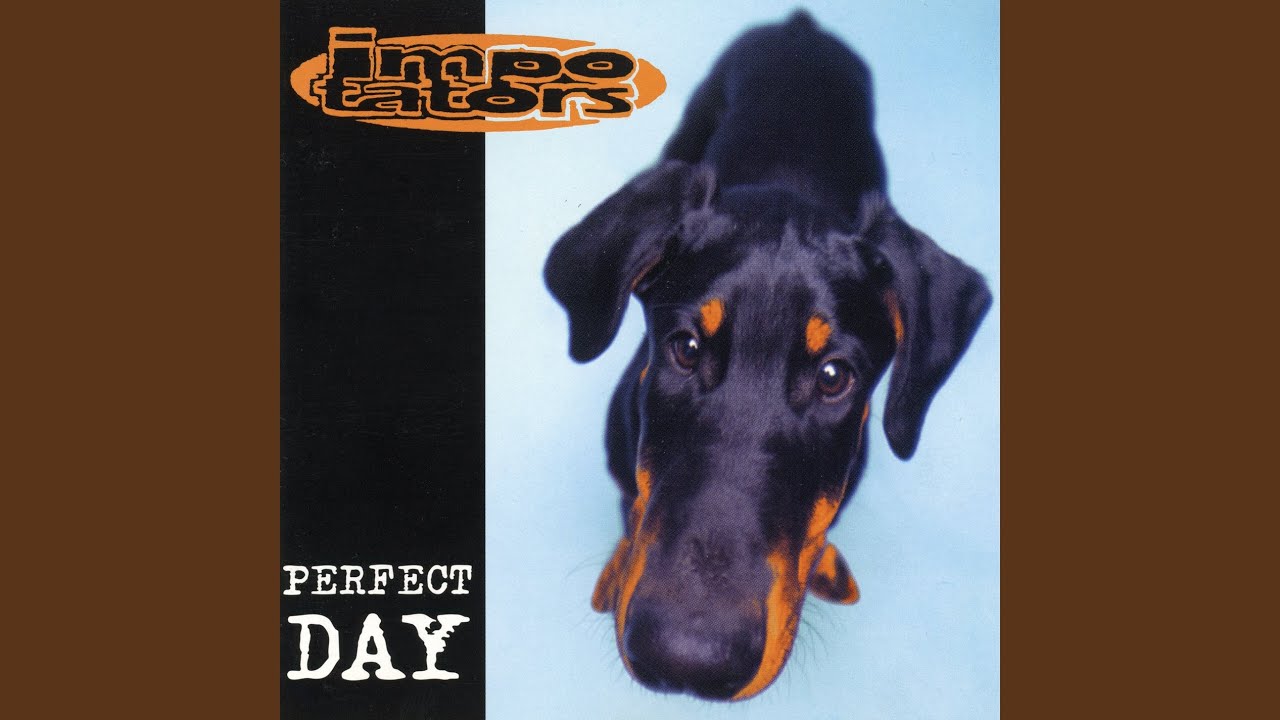 Blind auf YouTube ansehen Blind auf YouTube ansehen