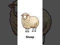 Animal Names for Kids | Learn Animals for Toddlers | Animals Name | Animals for Kids #shorts