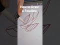 How to draw a Swallow Quick