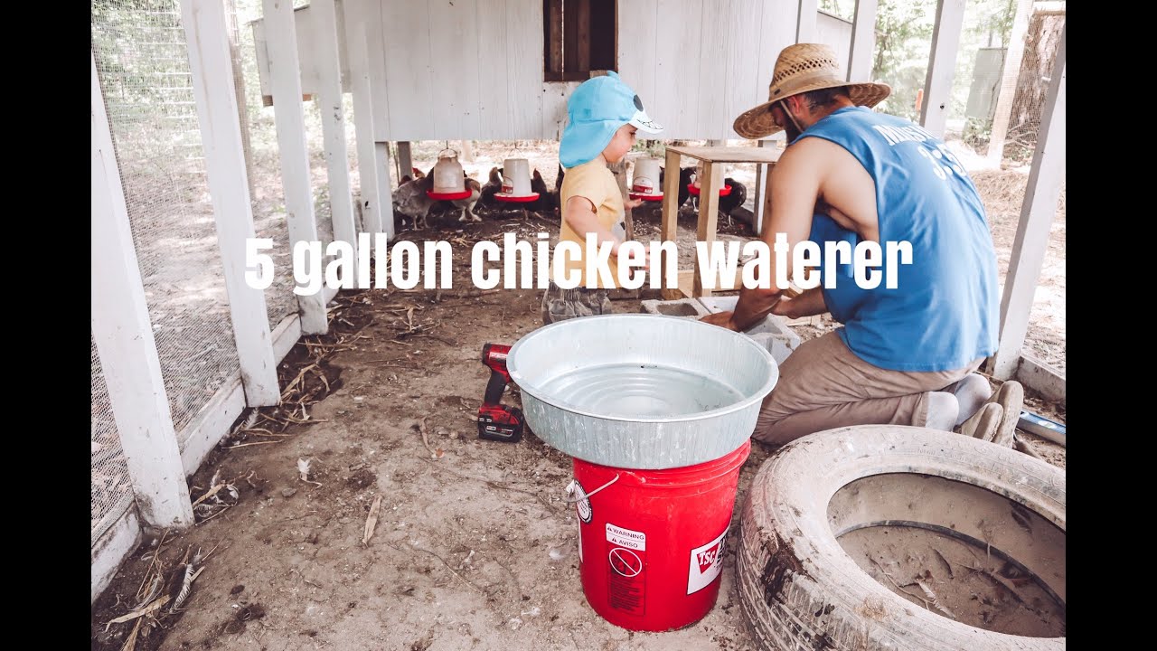 5 Gallon chicken waterer ISSUES | Solution - YouTube