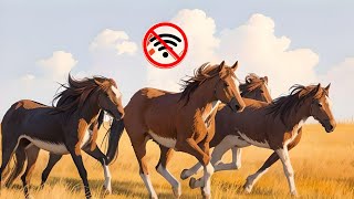 Top 5 High Graphics Horse racing simulator games for Android| Offline Horse riding games for Android screenshot 4