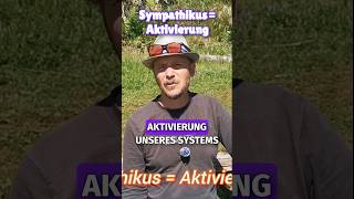 Welche Rolle spielt der Sympathikus, wenn wir aktiviert sind? #shorts