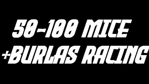 Racing Gameplay #3 (50+/100+ Mice) || Transformice