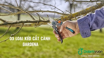 Ba loại kéo cắt cành Gardena Sản Xuất Tại Đức