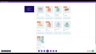 Divi Ajax Filters - Conditional Logic