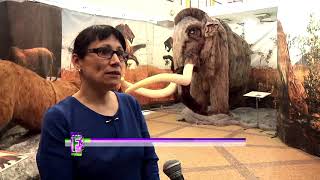 Гиганты ледникового периода в тверском цирке Гиганты ледникового периода в тверском цирке