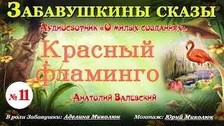 Аудиосказки для детей и взрослых на ночь  КРАСНЫЙ ФЛАМИНГО из  цикла О МИЛЫХ СОЗДАНИЯХ. А-ия: 0+