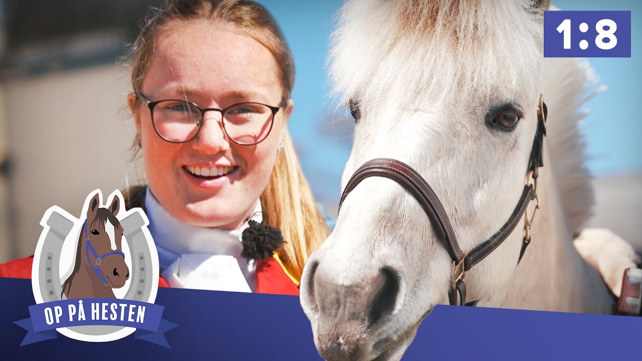 Jagtrytter bliver sprunget ud af sadlen – Op på hesten (1:8)