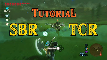 How to perform SBR & TCR | BotW Must-learn Advance Combat