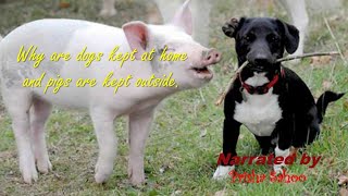 Why are dogs kept as pets and pigs live outside in the wild || Narrated by Prisha Sahoo || Pr Sahoo