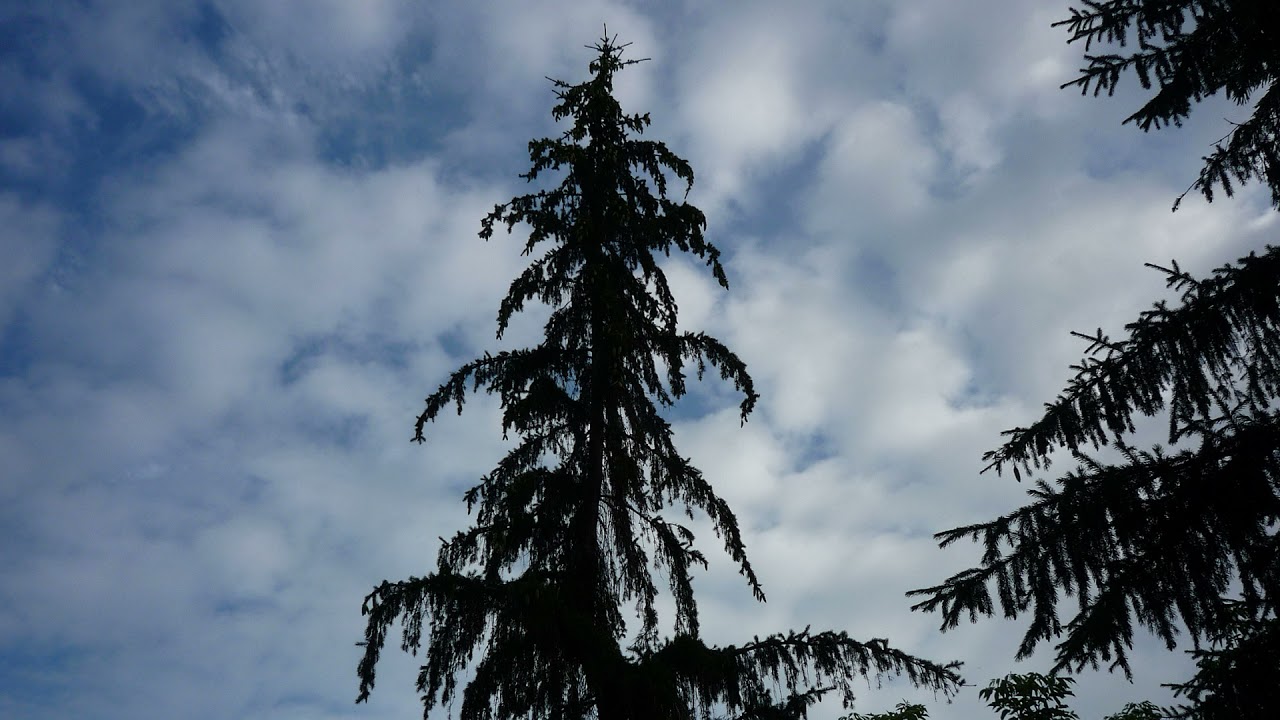 Музыка эмбиент, музыка для размышлений - YouTube