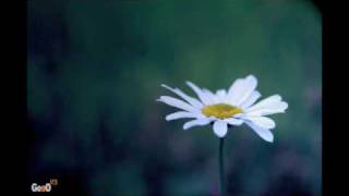 My Photos ( View High Quality )