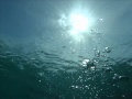 ナヴィの恋　「RAFUTI」