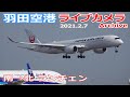 羽田空港 ライブカメラ 2021/2/7 Planespotting Live from TOKYO HANEDA Airport  離着陸 Landing Takeoff ライブ配信