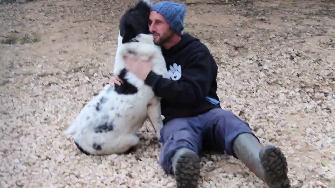 ‫סיכוי לאהבה‬‎ - YouTube