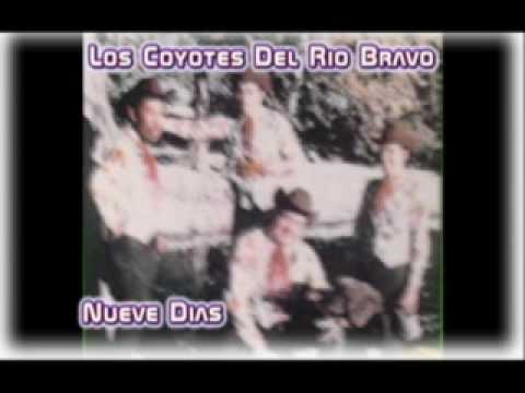 Los Coyotes Del Rio Bravo - Nueve Dias