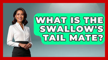 What Is The Swallow