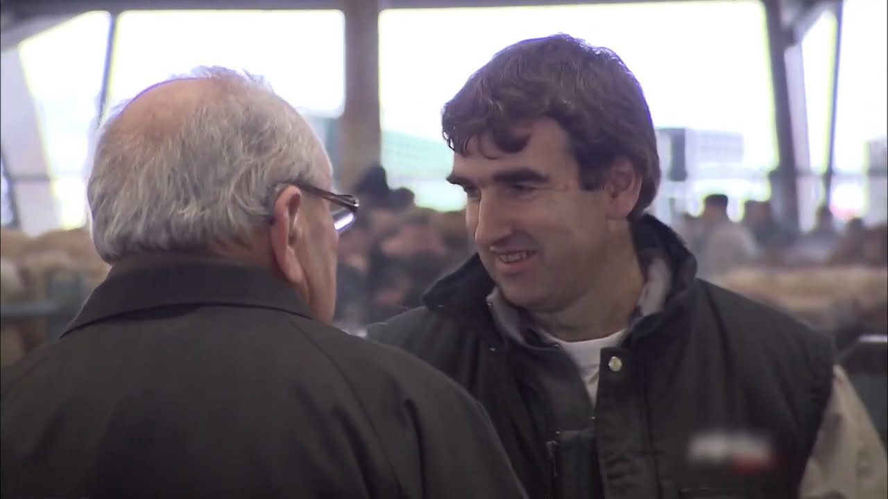 Животноводам нелегко