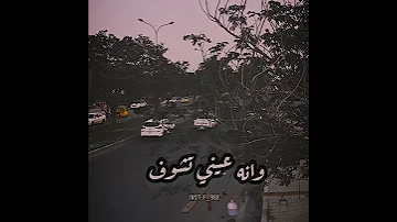 ابو بكر سالم سر حبي فيك غامض تصاميم العراق اليمن السعوديه 
