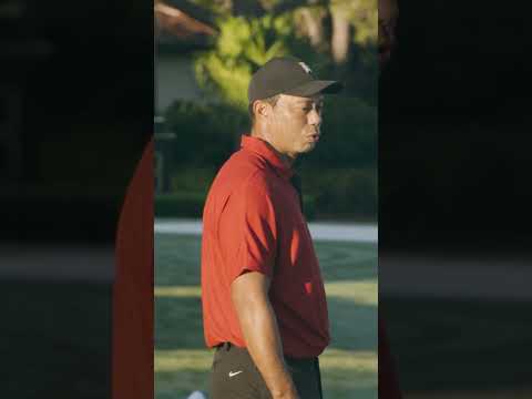 Video: Bo tiger woods spet igral golf?