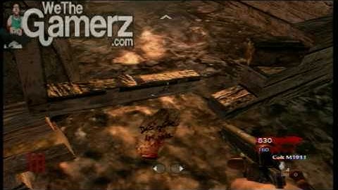Telixion Theory 4 : Call Of Duty World At War Zombies Shi No Numa : Easter Eggs Paper Note