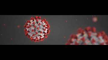 COVID 19: Furloughs, Work Share, Layoffs, PPP - What to do and How to do it.