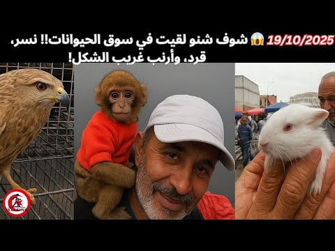 سوق الحيوانات المنصف باي مشاهد ما تشوفهاش كل يوم