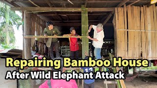 Bamboo House Repair After Wild Elephant Attack