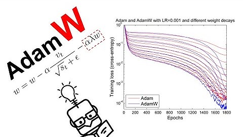 AdamW - L2 Regularization vs Weight Decay