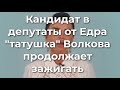 Кандидат в депутаты от Едра "татушка" Волкова продолжает зажигать