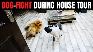 MEET MY FIGHTER DOGS ??|| HOUSE TOUR pt.1