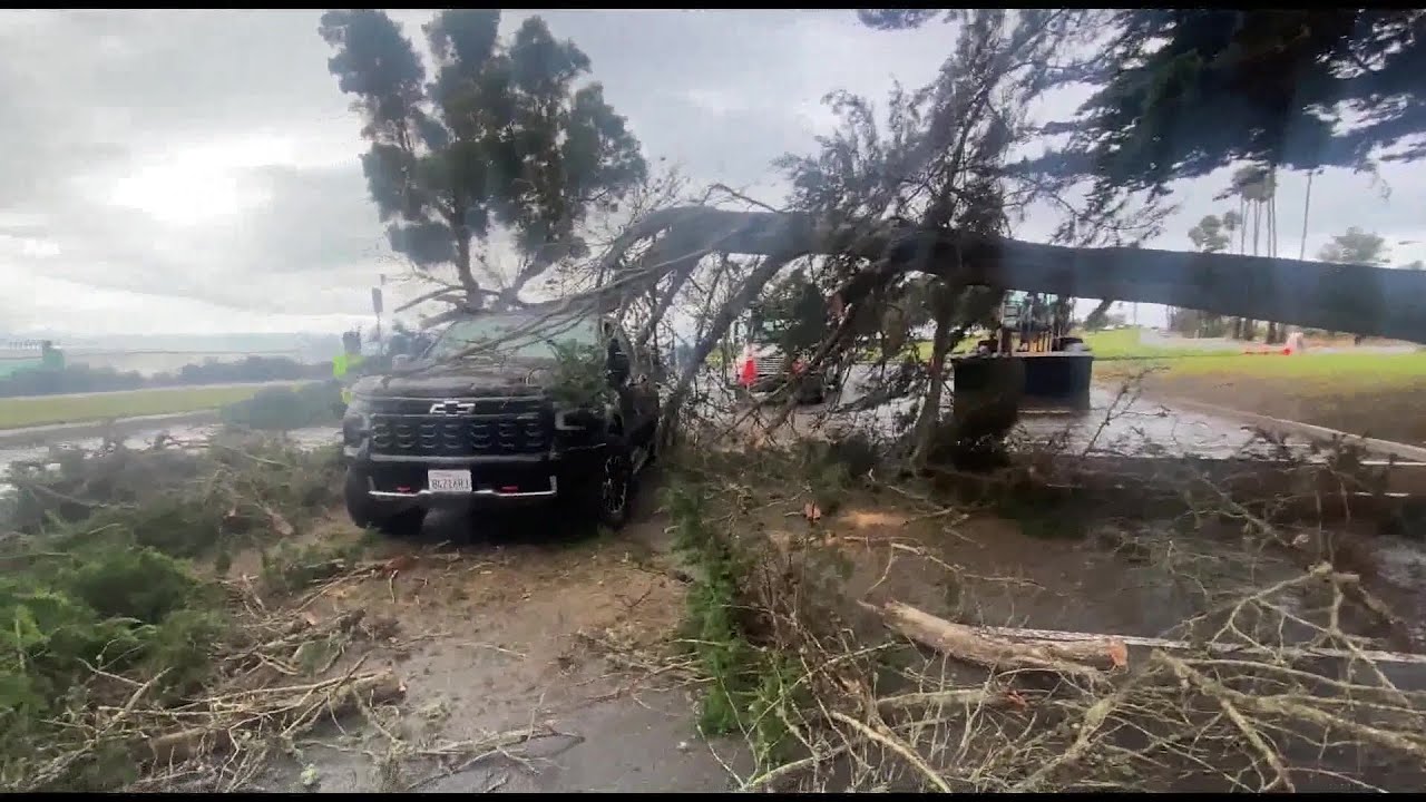 Tree Smashes Truck, College Parking Lot Flooded as Early Storm Moves ...